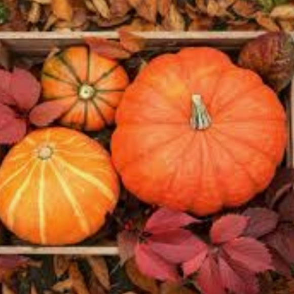 Shop & Save - Picture 6 of 11